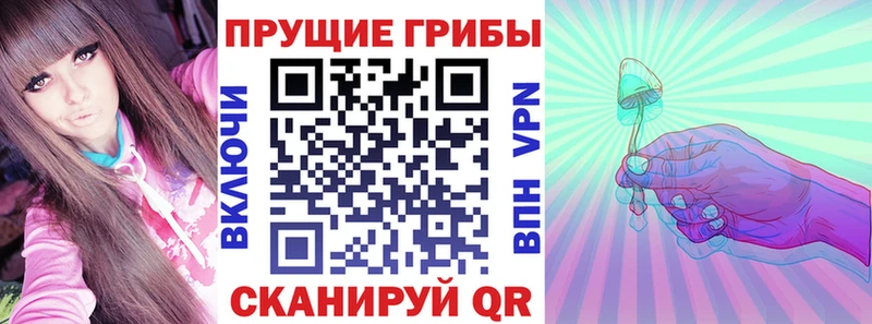 Купить  Гай  Галлюциногенные грибы Magic Shrooms 
