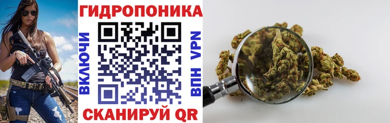 Купить закладки  Гай  Марихуана ГИДРОПОН 
